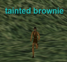 tainted-brownie.jpg