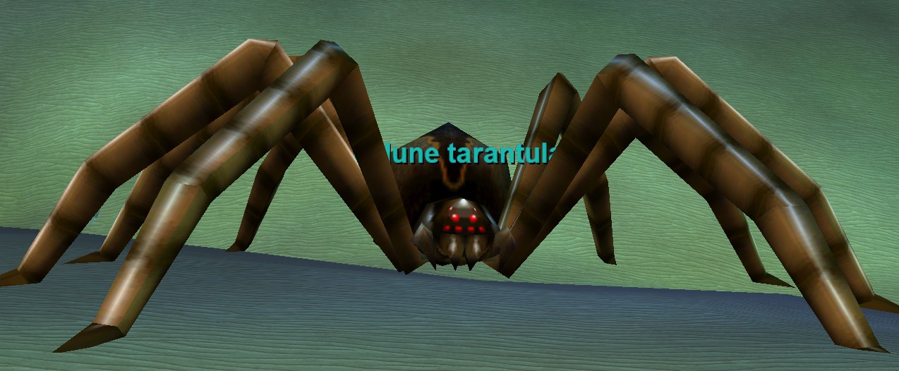 a-dune-turantula.jpg