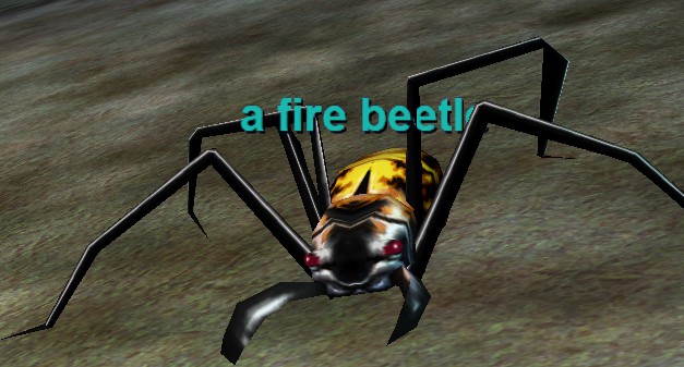 a-fire-beetle.jpg